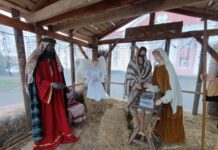 Від жарту до дива: як у Барі народився вертеп, що оживає разом із містом