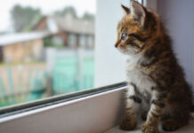 Погода у Вінниці на 20 грудня