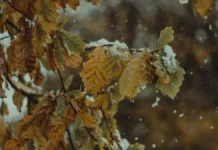 Прогноз погоди у Вінниці на 9 грудня