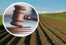 На Вінниччині через суд громаді повертають понад 600 гектарів земель