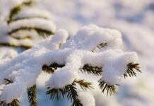 Зима показує характер: у Вінниці –14° і нижче