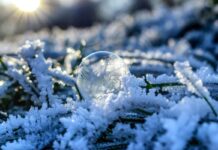 11 січня у Вінниці: морозно, вдень — дрібний сніг