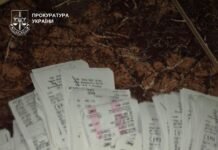 Більше п’яти тисяч культурно-мистецьких та просвітницьких заходів провели у Вінниці