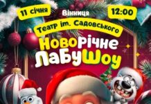 З веселими іграми для дітей: прем’єра «Новорічного ЛабуШоу» у Вінниці