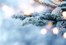 Прогноз погоди у Вінниці на 8 січня