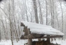 Вінничанин зливав нечистоти з вигрібної ями прямо в Південний Буг. Фото