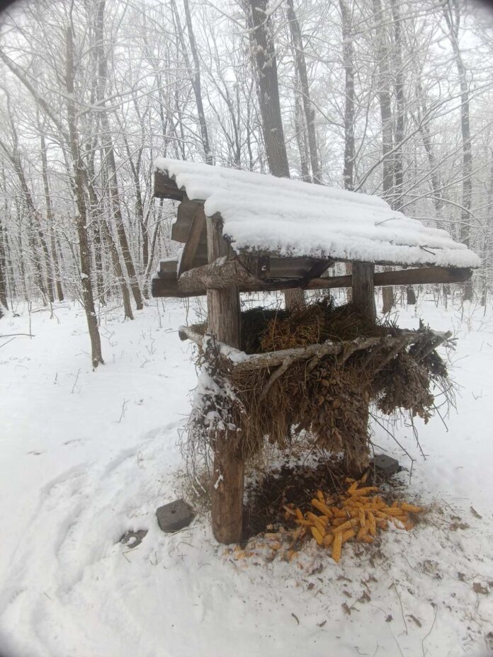 611575621_1186247160295777_3709694666230250716_n