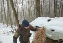 У Вінниці нетверезий водій протаранив паркан на Коріатовичів тікаючи від патрульних