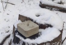 На Вінниччині очікуються пориви вітру до 15-18 м/с