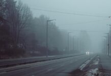 Туман у Вінниці та області: оголошено «жовтий» рівень небезпеки