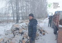 На Вінниччині зафіксували незаконну рубку дерев у полезахисній лісосмузі