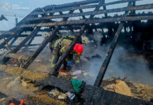 На Вінниччині під час пожежі загинув 58-річний чоловік