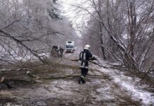 У Вінницькій області негода повалила дерева: триває ліквідація наслідків