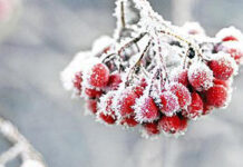 На Вінниччину насувається новий раунд морозів