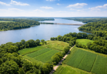 На Вінниччині суд зобов’язав повернути громаді 605 гектарів земель