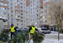 У Вінниці новорічні ялинки перетворюють на щепу та тепло