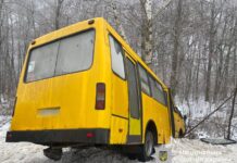 На Вінниччині рейсовий автобус з’їхав у кювет