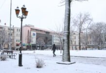 На Вінниччині рятувальники врятували собаку, який застряг головою в комбайні. Фото