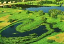 Прокуратура повернула державі 53 гектари заповідних земель на території НПП «Кармелюкове Поділля»