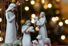 Розклад богослужінь у кафедральному соборі з 5 по 11 січня