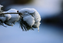 У Вінниці очікується хмарний день з мінімальними опадами