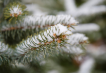 Прогноз погоди у Вінниці на 15 січня