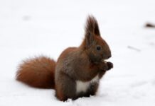 Прогноз погоди у Вінниці на 13 січня