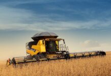 Аграрний сектор Вінниччини: підсумки 2025 року та зростання виробництва