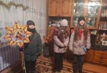 В Літині врятували трьох лебедів