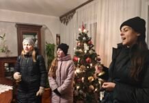 На Вінниччині рятувальники надали допомогу лебедям. Фото