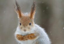 Погода у Вінниці 18 лютого