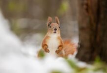 Похмуро й без опадів: якою буде погода у Вінниці 9 лютого