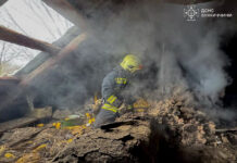 20 людей загинули на Вінниччині через пожежі з початку року