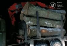 Незаконне транспортування дуба викрили під час рейду на Вінниччині