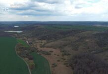 На Вінниччині державі повернули майже 6 гектарів нацпарку «Кармелюкове Поділля»