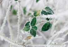 Прогноз погоди у Вінниці на 10 лютого