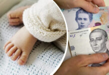 ЦНАПи знову приймають заяви на всі види допомоги сім’ям з дітьми