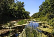 Вінниччина очолила рейтинг областей за створенням природно-заповідних територій