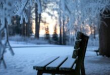 Погода у Вінниці на 11 лютого