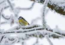 Прогноз погоди у Вінниці на 4 лютого