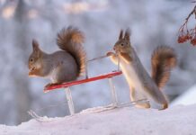 Погода у Вінниці на 2 лютого