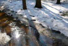 Хмарно та без опадів: якою буде погода у Вінниці 14 лютого