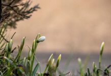 Прогноз погоди у Вінниці на середу, 11 березня