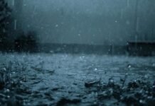 Якою буде погода у Вінниці 31 березня