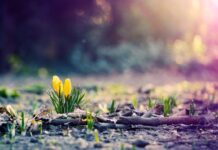 Якою буде погода у Вінниці 12 березня