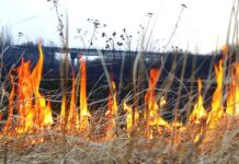 Мешканців Вінниччини закликають не спалювати суху траву та листя