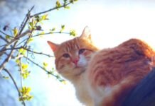 Якою буде погода у Вінниці 16 березня