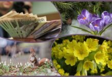 На Вінниччині штрафуватимуть за зривання первоцвітів