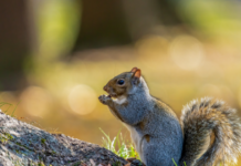 Погода у Вінниці на четвер, 26 березня