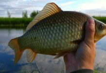 Весняна риболовля 2026: календар найкращих днів